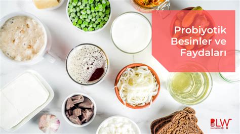 probiyotik besinler ve faydaları